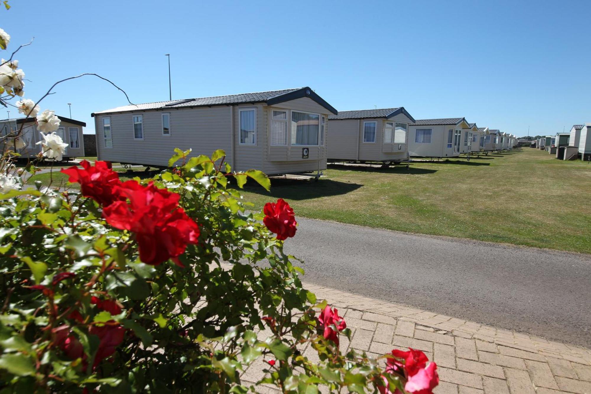 Red Lion Holiday Park Arbroath Exterior foto